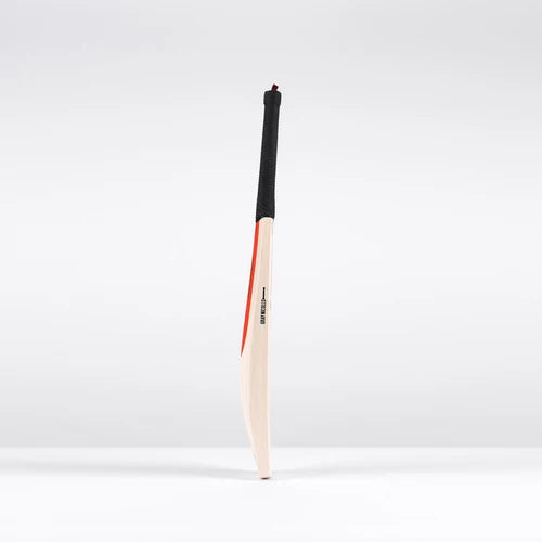 Legend Gold Edition Adult Cricket Bat